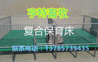 橡膠復(fù)合墊在養(yǎng)豬設(shè)備中的應(yīng)用與市場報(bào)價(jià)分析