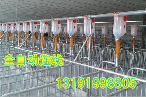 大小型豬舍均可安裝自動化下料線，提升養(yǎng)豬效率與經(jīng)濟(jì)效益