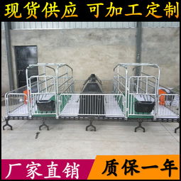 養豬設備升級 從母豬產床到全復合板雙體產床，助力高效養殖